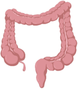 Colorectum
